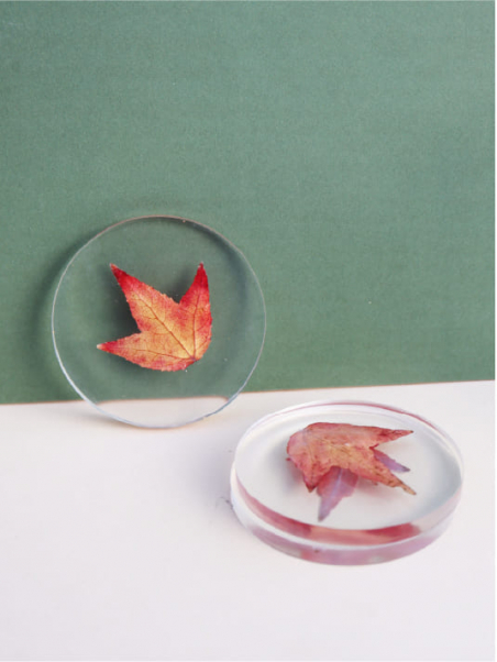Dessous de verre Inclusion Feuilles d'Automne - Design Unique