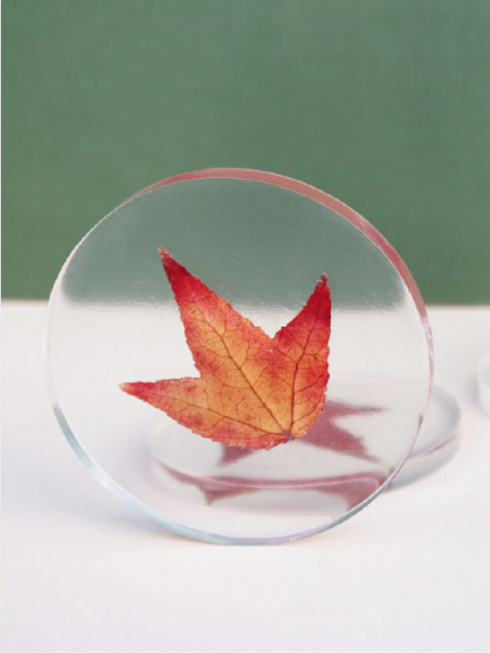 Dessous de verre Inclusion Feuilles d'Automne - Design Unique