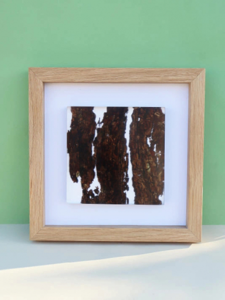 Tableau Décoration Murale Design inclusion Écorce Naturelle