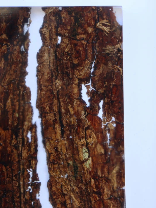 Tableau Résine Écorce Naturelle | Décoration Murale Design