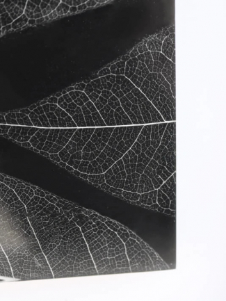 Tableau Décoration Murale Design 2