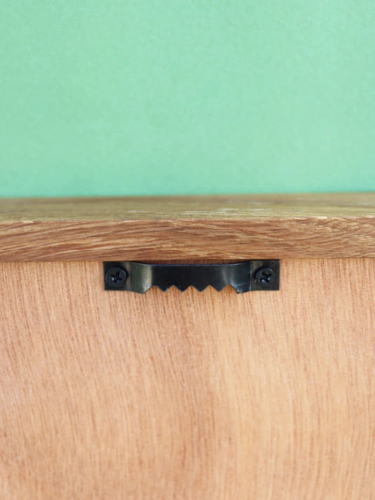 Tableau résine Feuilles Naturelles | Décoration Murale Végétale