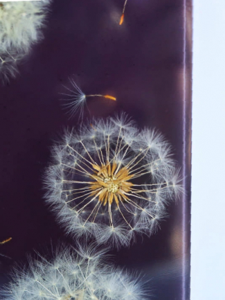 Tableau Décoration Murale Design Bord de Mer effet Bulles d'air 2