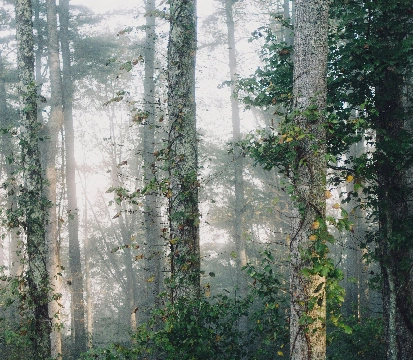 Collection d'objets design inspirés par l'élément terre